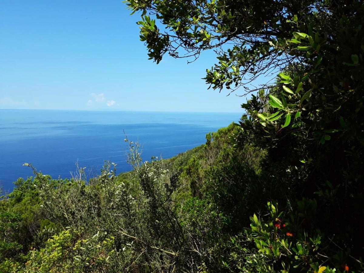 Appartamento Claudi A San Vincenzo Zewnętrze zdjęcie