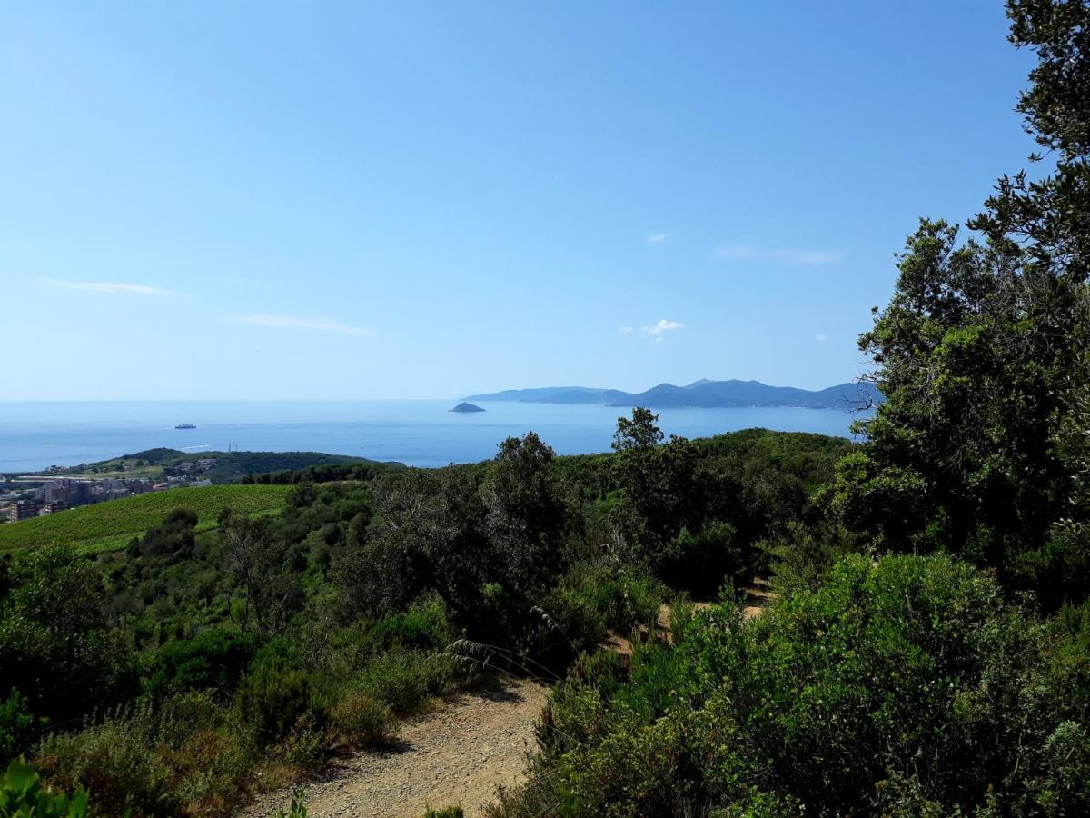 Appartamento Claudi A San Vincenzo Zewnętrze zdjęcie